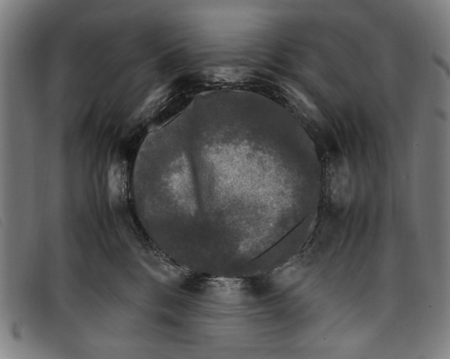 X0000097820328200804041404