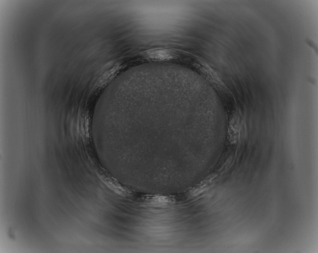 X0000097820330200804041404