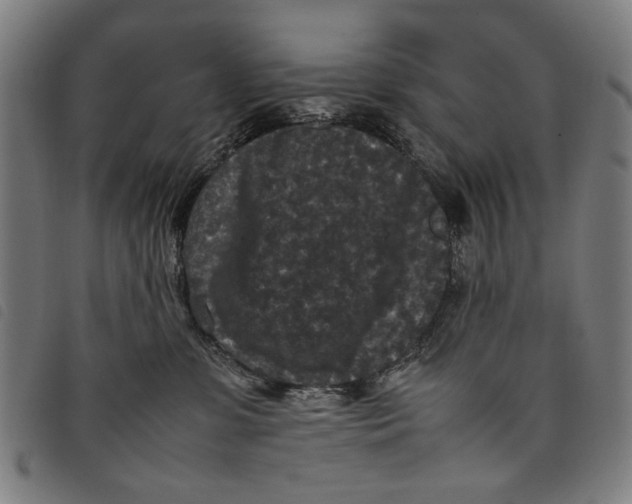 X0000097820331200804041404