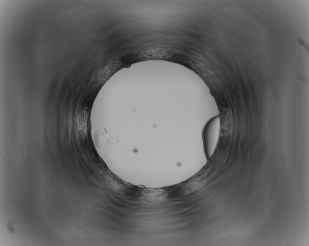 X0000097820334200804041404