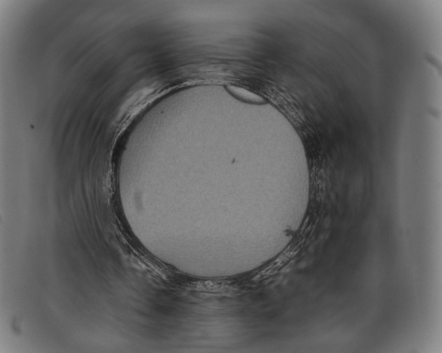 X0000097820338200804041404