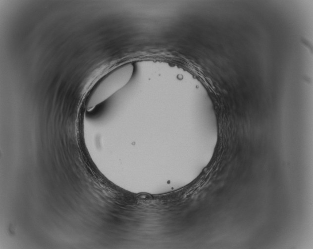 X0000097820340200804041404