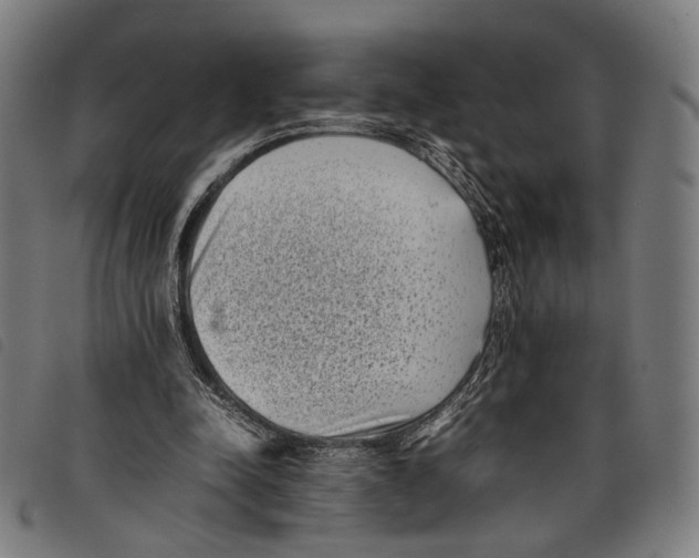 X0000097820342200804041404