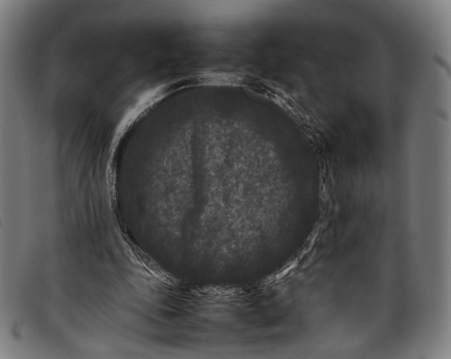 X0000097820343200804041404