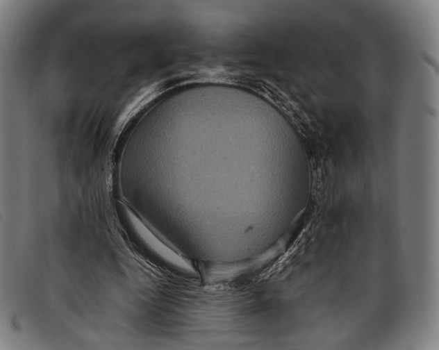 X0000097820344200804041404