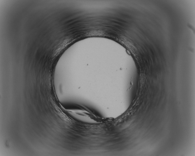 X0000097820345200804041404