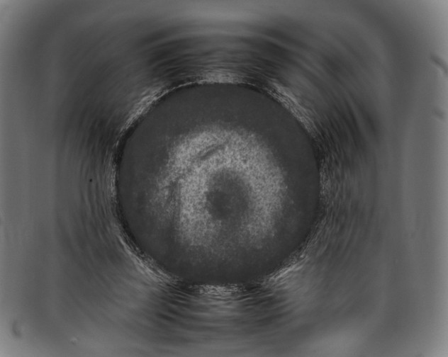 X0000097820347200804041404