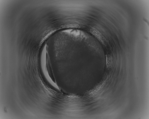 X0000097820348200804041404