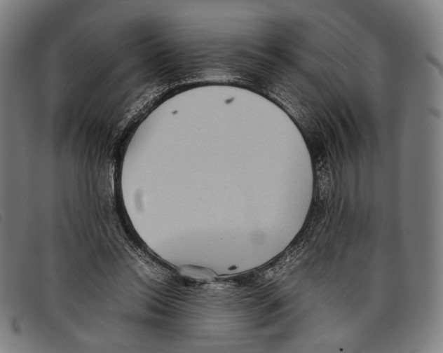 X0000097820350200804041404