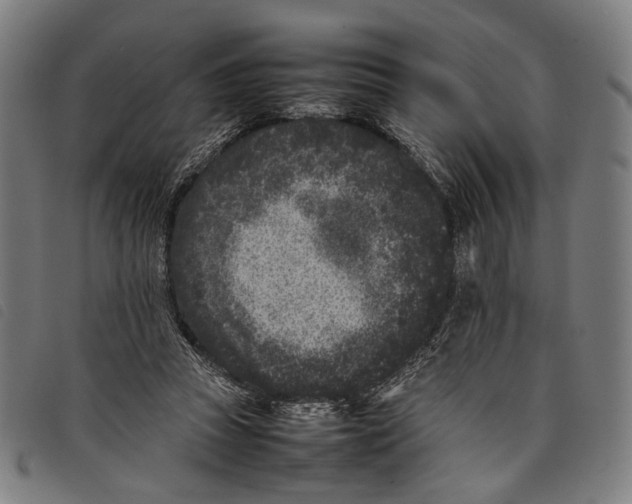 X0000097820353200804041404