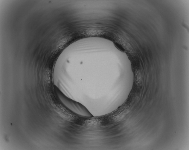 X0000097820356200804041404