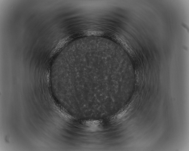 X0000097820357200804041404