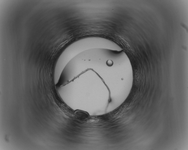 X0000097820364200804041404