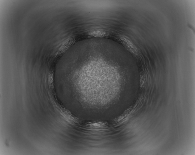 X0000097820365200804041404