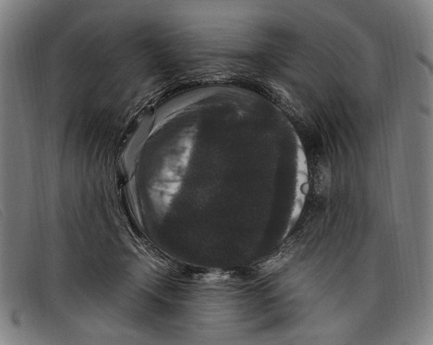 X0000097820366200804041404