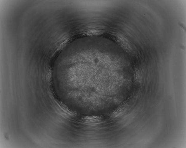 X0000097820367200804041404