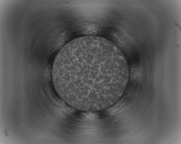 X0000097820370200804041404