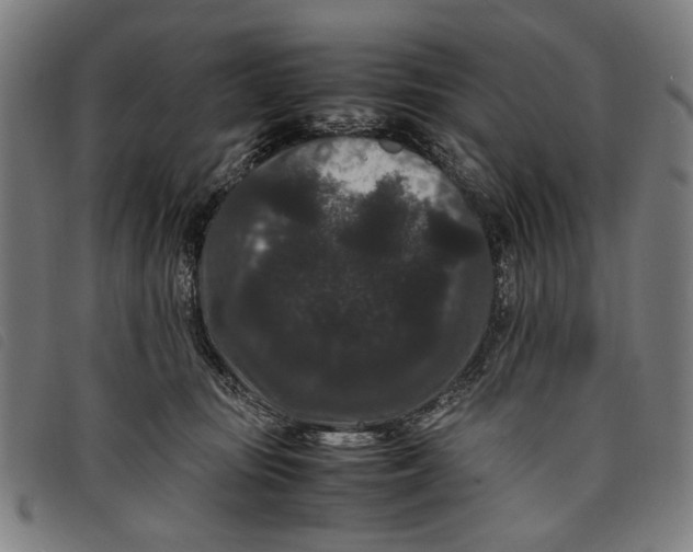 X0000097820371200804041404