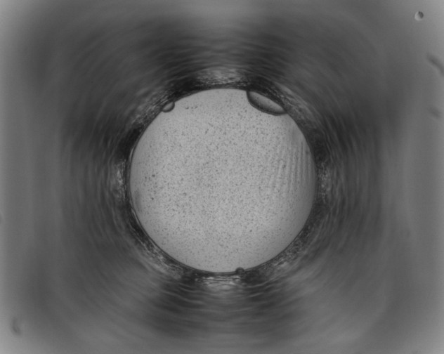 X0000097820373200804041404