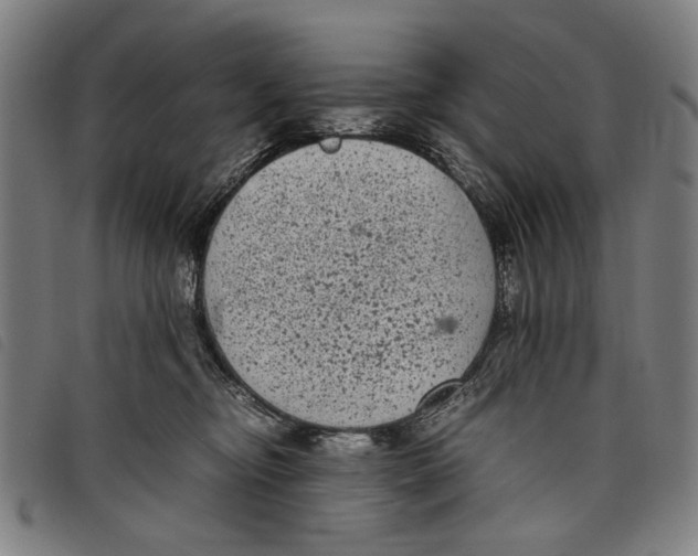 X0000097820374200804041404