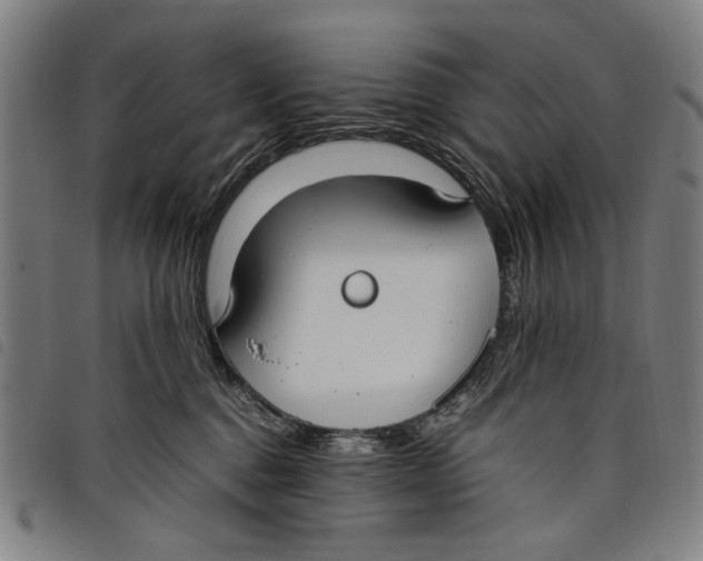 X0000097820376200804041404