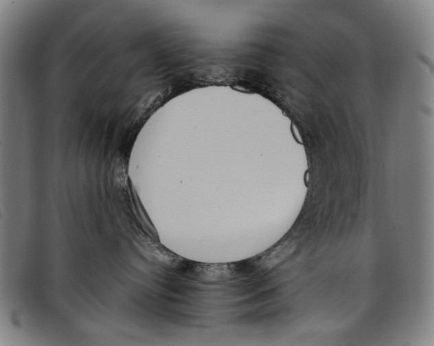 X0000097820384200804041404