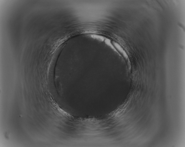 X0000097820385200804041404