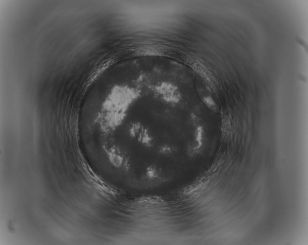 X0000097820386200804041404