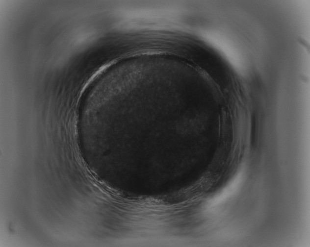 X0000097820387200804041404