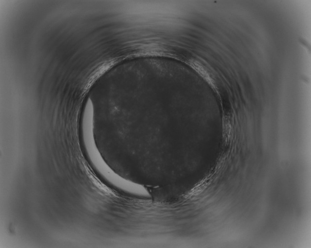 X0000097820389200804041404