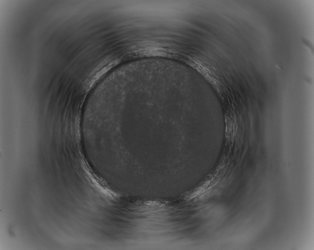 X0000097820390200804041404