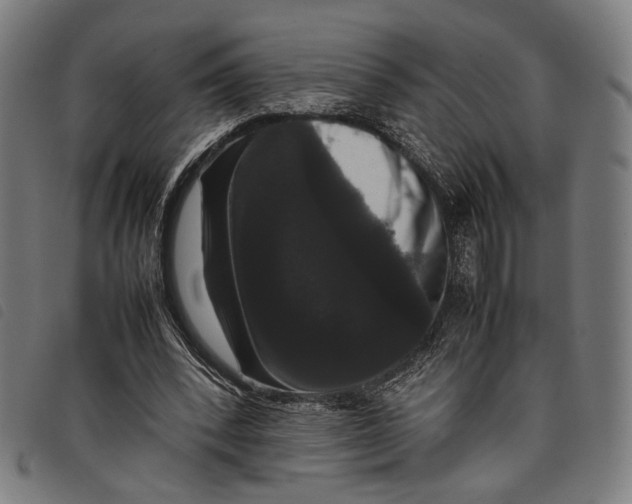 X0000097820392200804041404