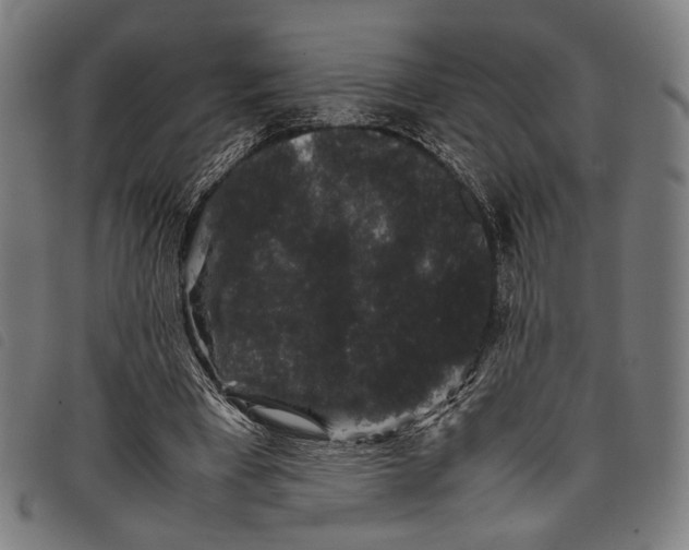 X0000097820393200804041404