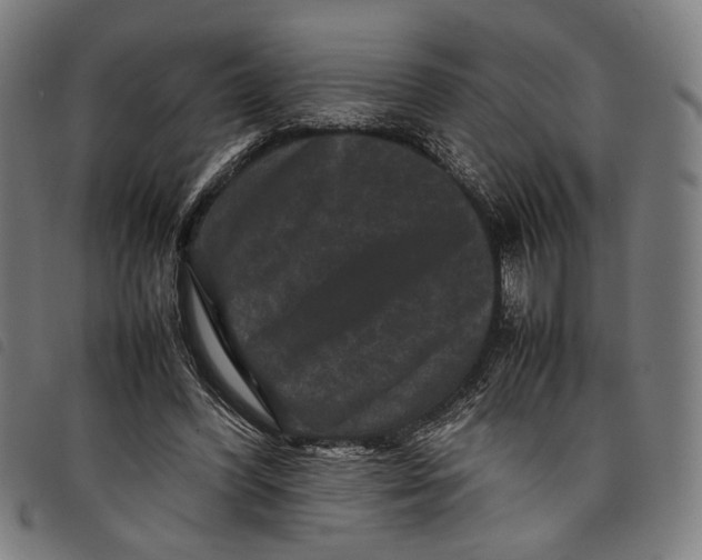 X0000097820396200804041403