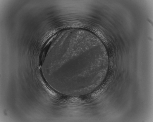 X0000097820397200804041403