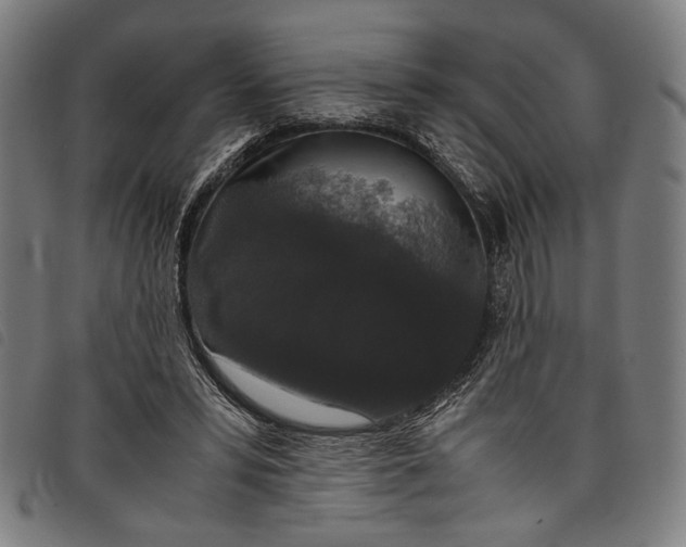 X0000097820399200804041403