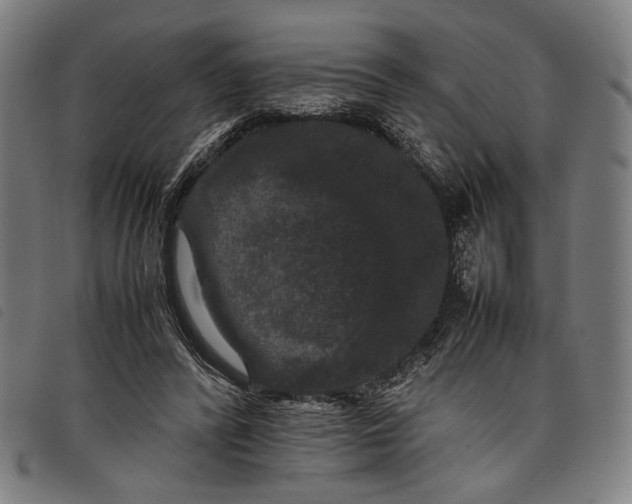 X0000097820400200804041403