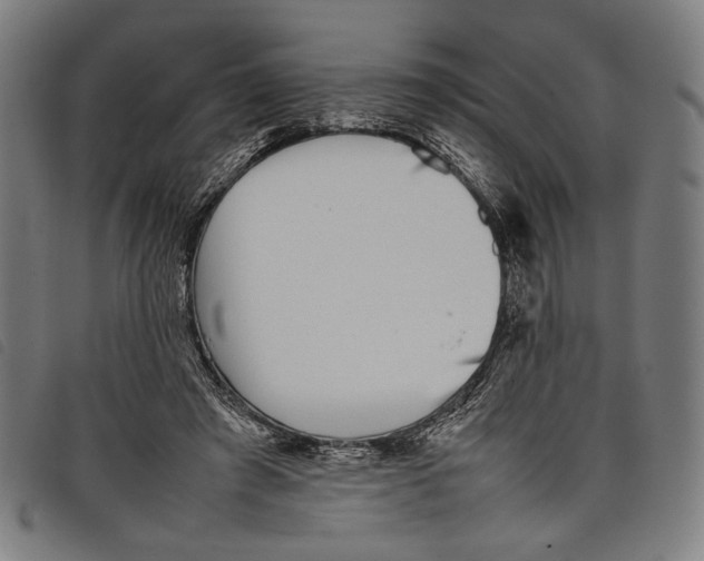 X0000097820401200804041403