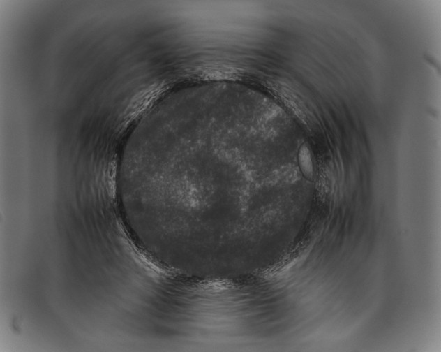 X0000097820402200804041403