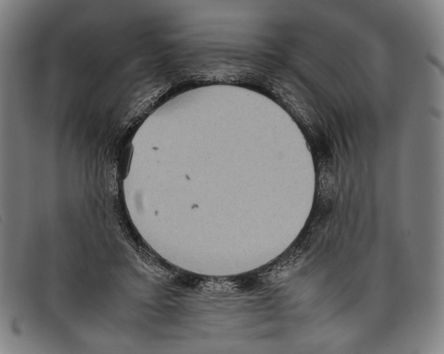 X0000097820403200804041403