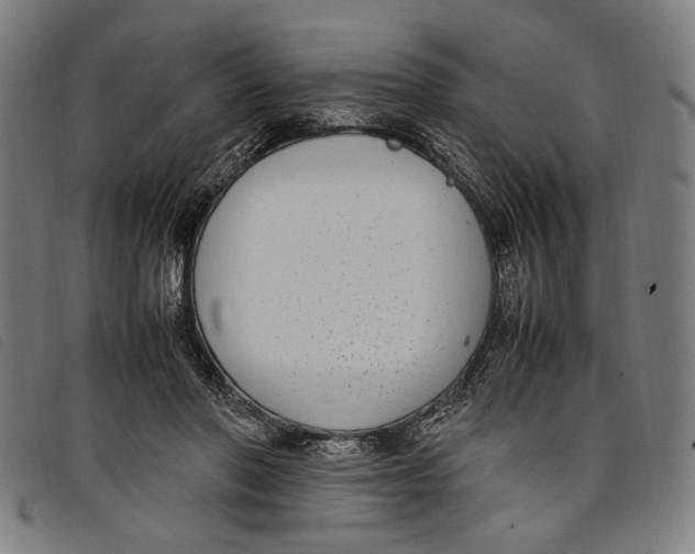 X0000097820406200804041403