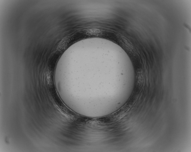 X0000097820408200804041403