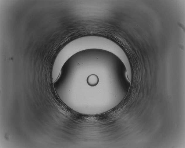 X0000097820409200804041403