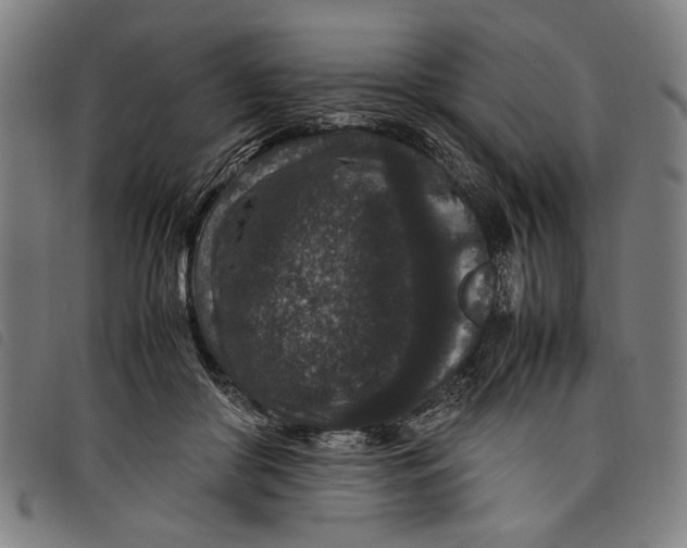 X0000097820410200804041403