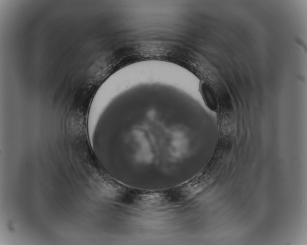 X0000097820411200804041403