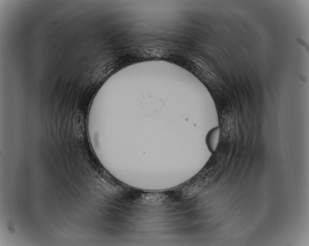 X0000097820414200804041403