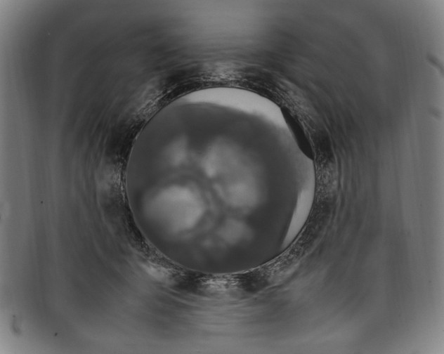 X0000097820415200804041403