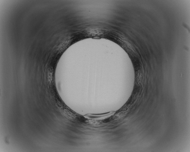 X0000097820417200804041403