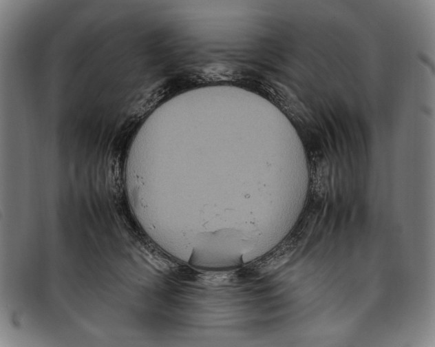 X0000097820418200804041403