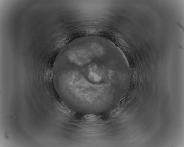 X0000097820419200804041403